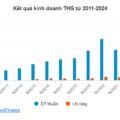 THG đặt kế hoạch doanh thu 2025 cao kỷ lục, dự chia cổ tức 40% năm thứ 9